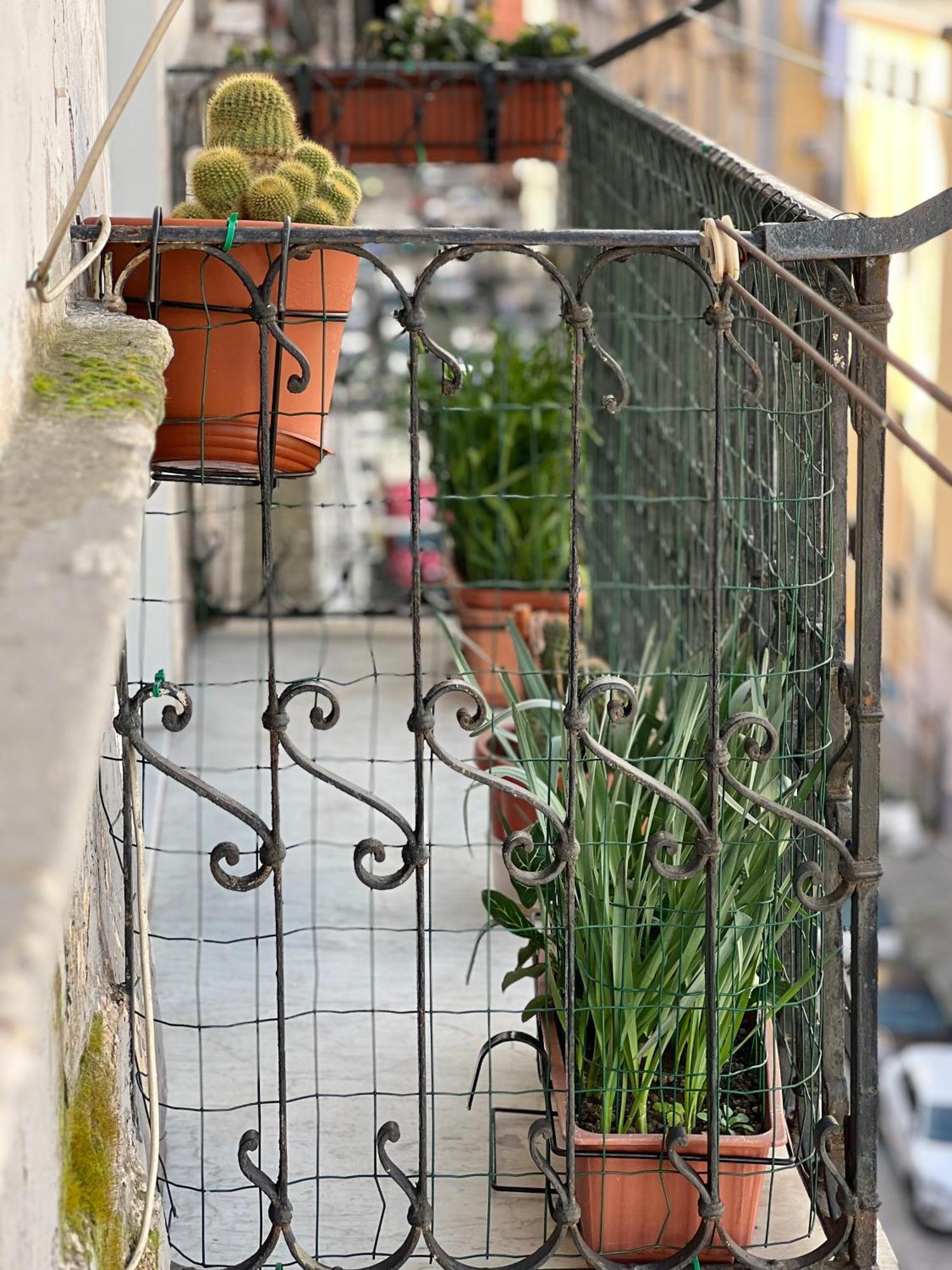 Bruno House Bed & Breakfast Naples Luaran gambar